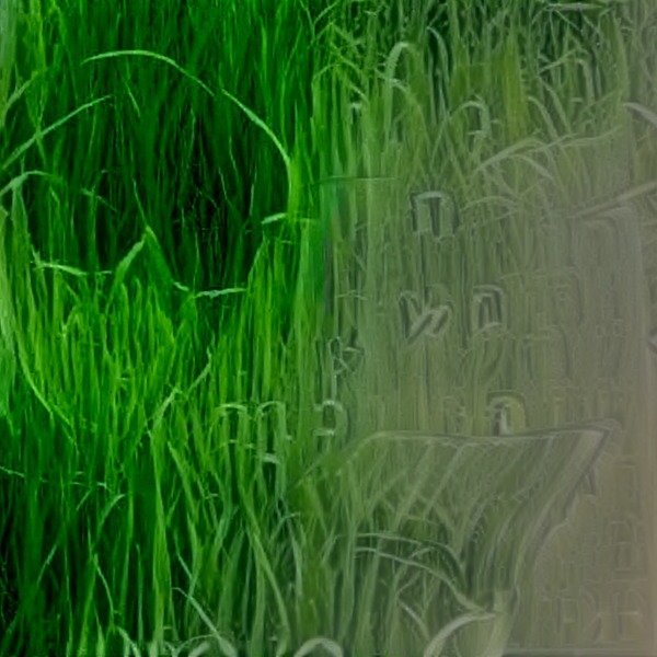 Thumb img7474466 0d3dd919068ae007
