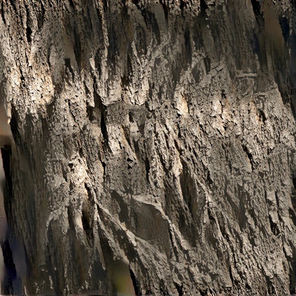 Thumb img7478985 35084ca0c55e0803