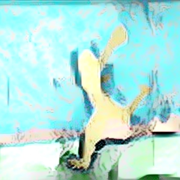 Thumb img7483803 911a70206472c8cd