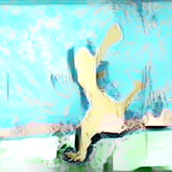 Thumb img7485540 cd3471cf8a116d1e