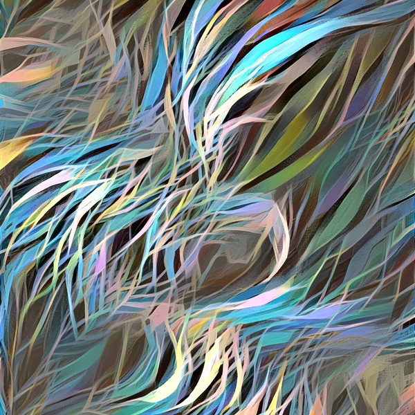 Thumb img7501038 4b504d0625a673ed