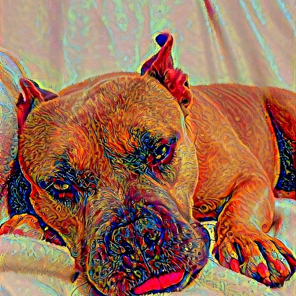 Thumb img7510095 d13cfd009baebc3b