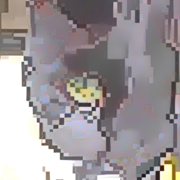 Thumb img7514291 dc2582d501a3ecfc