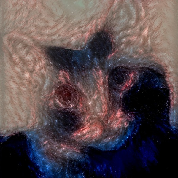 Thumb img7520966 6844f4a66bee4485