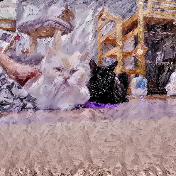 Thumb img7522181 9a3ad4875c71c767