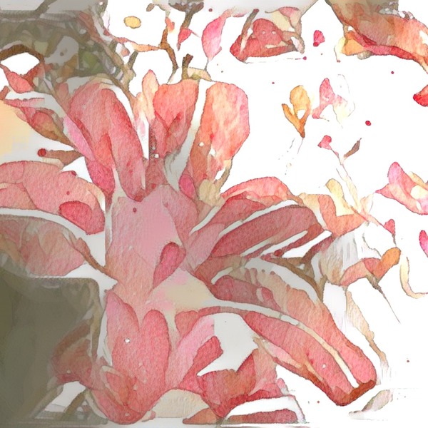 Thumb img7523863 f22a16619b352fe5