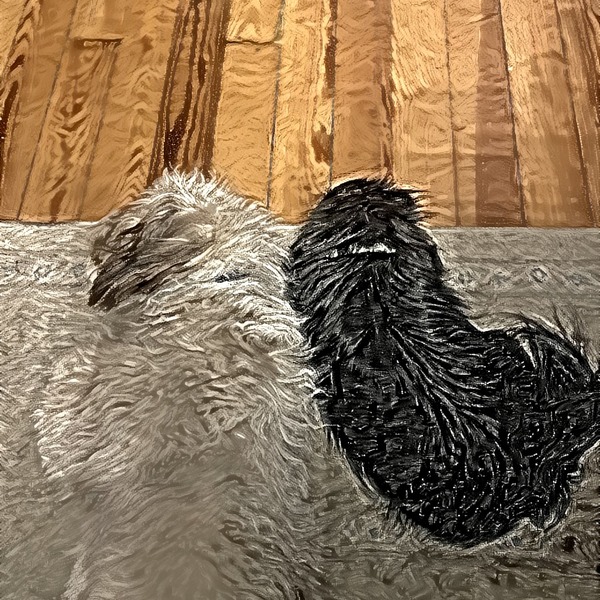 Thumb img7524356 8602aa07b05e8350