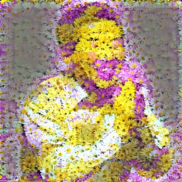 Thumb img7529254 45b4f3e9cebc45d5