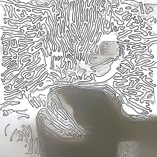 Thumb img7529393 9407db3ddb8e836d
