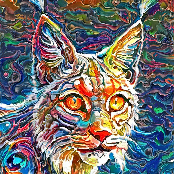 Thumb img7532470 3bae6d232d9c661b