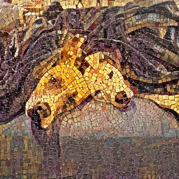 Thumb img7532916 d8577590a3d465d8
