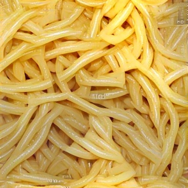 Thumb img7557340 1e39b1d08fdba97b