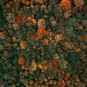 Thumb img 97d149096b