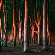 Thumb img 50a66a7642