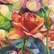 Thumb img 95c6d96968