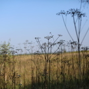 Thumb img 66cbe23755