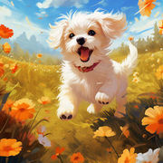 Thumb img 2704b7b60a
