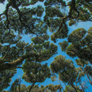 Thumb img 982cd0535a