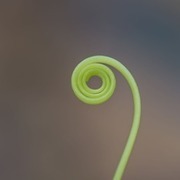 Thumb img 4fe2002b1a