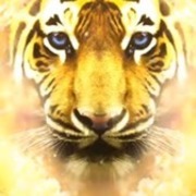 Thumb img 3f0ff4a0e4