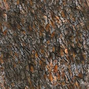 Thumb img 7e5276d785