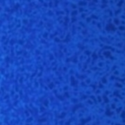 Thumb img c30efa560c