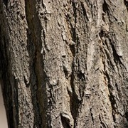 Thumb img 429ee56c9d