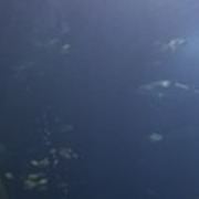 Thumb img 124b3b211b