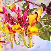 Thumb img 9a2496b301