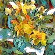 Thumb img 1c2e409707