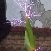 Thumb img 9a9ee6d30b