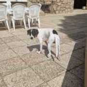 Thumb img 0d18b5f16a