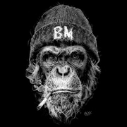 Thumb img 4c36016b85