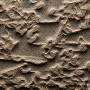 Thumb img 1ed1789c96