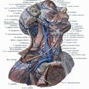 Thumb img 175dcbd766