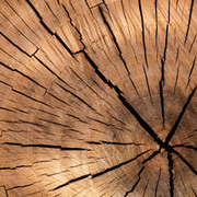 Thumb img 7844082e72