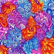 Thumb img2055 fa3c076f32