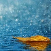 Thumb img 852c722cbe