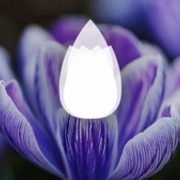 Thumb img 4d8dfc840c