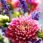 Thumb img 5670c0531a
