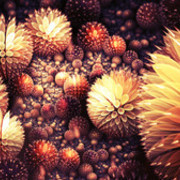 Thumb img 33f559eafa