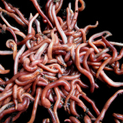 Thumb img 94863e7cd6