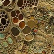 Thumb img daa0bc1337