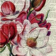 Thumb img 7482c813e7