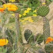 Thumb img 615b5a2ae1