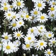 Thumb img 8289d280d3