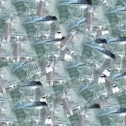 Thumb img b8688069c8