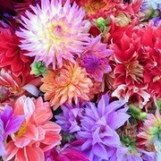 Thumb img 896357b21d