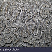 Thumb img 29a11e1cbd