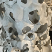 Thumb img 6559cb8ff9